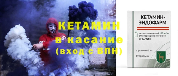 прущие грибы Пестово