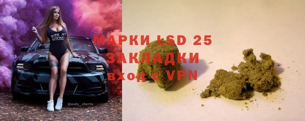 прущие грибы Пестово