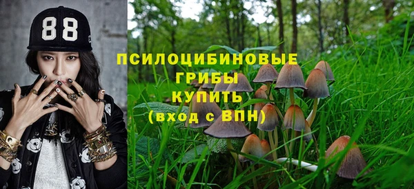 спиды Абинск