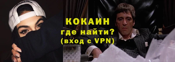 прущие грибы Пестово